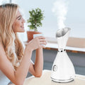 Ionic Facial Steamer - Aevanti